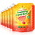 Orange Ginger Antibacterial Foaming Hand Soap (6 Pack)